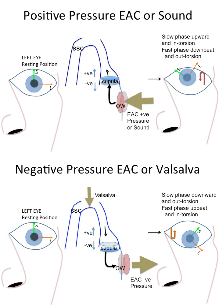 Figure 4a-b