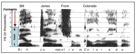 Staab Figure 4