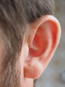 ear-1355649_1920