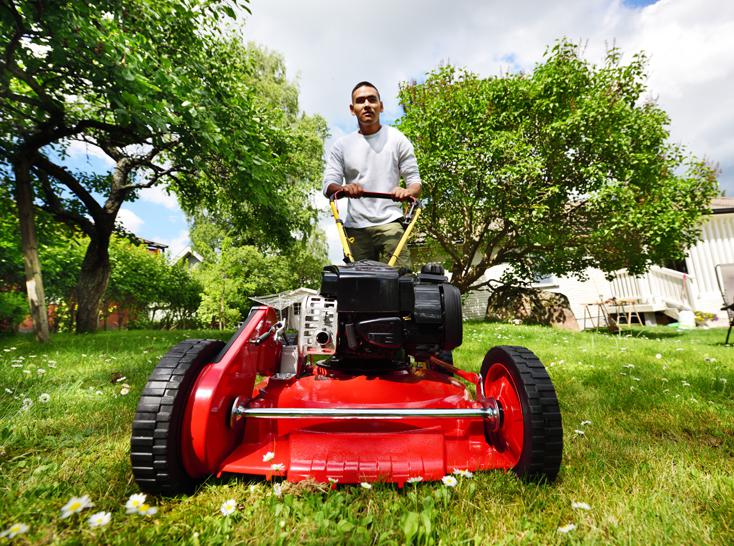 Lawnmower