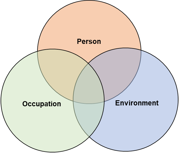 use-of-the-person-environment-occupation-model-as-an-analytic-tool-for